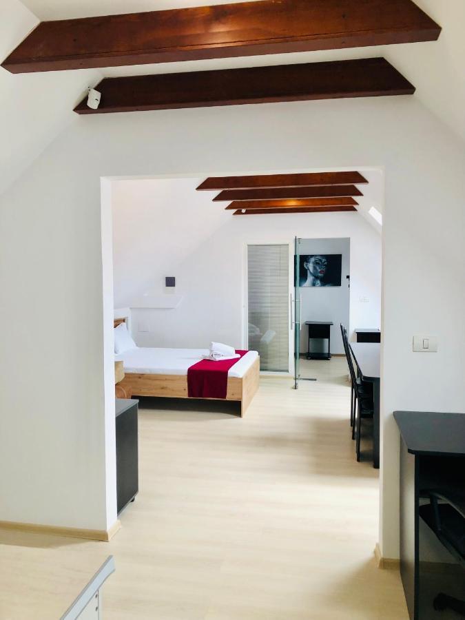 Ultra-Central Modern And Big Apartments In Union Square U41-U44 Timisoara Exterior foto